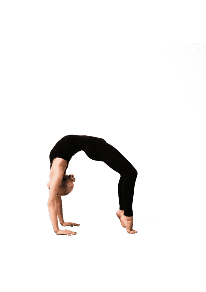 Programs – LoadingWay